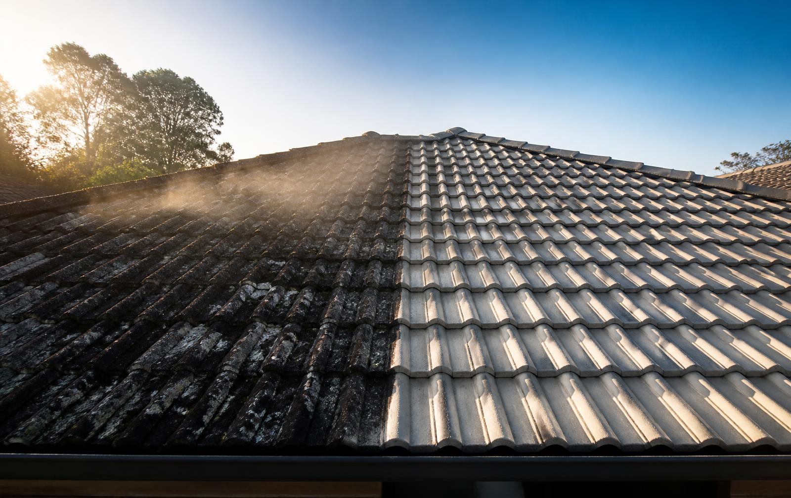 Roof Cleaning