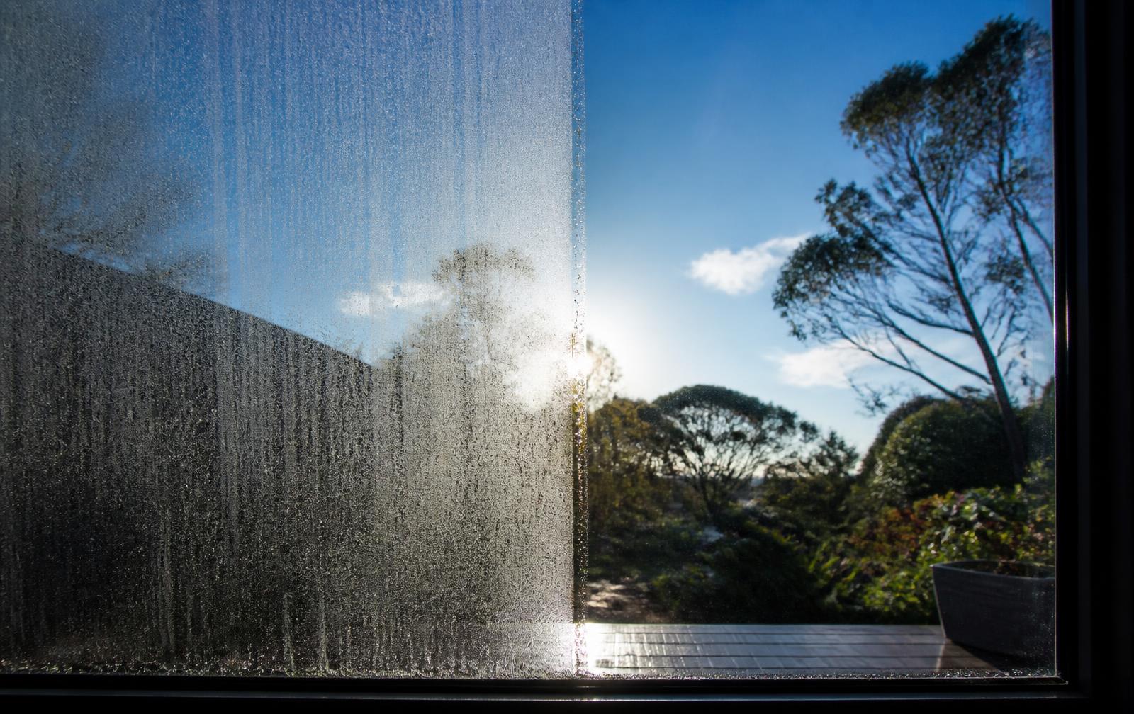 Window Cleaning